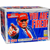 You Are Fired!